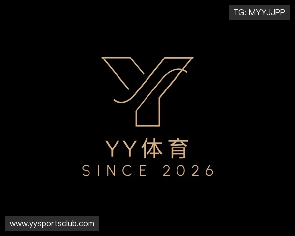 了解Yy体育